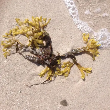 Apartment Eikkater 4 Eg *