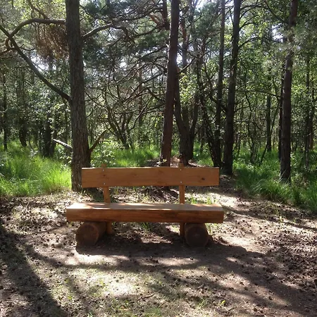 Apartment Eikkater 4 Eg *